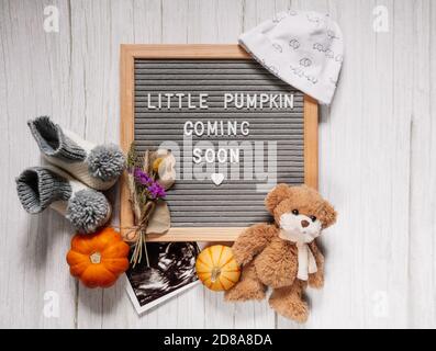 Little pumpkin coming soon sign. Baby announcement sign on a rustic white background. Coming soon concept.  Autumn pregnancy. Stock Photo