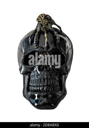 Black skull halloween decoration isolated on white background Stock Photo