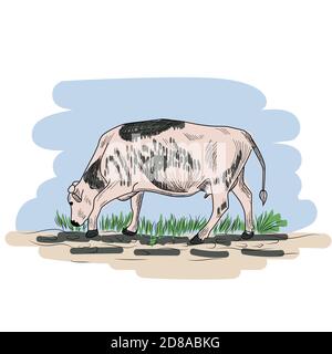 Cow, Hand drawn in a graphic style. Vintage engraving illustration for poster, web Stock Vector