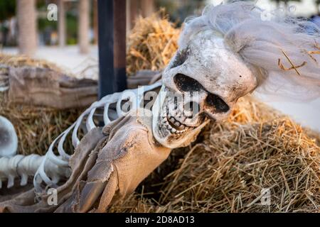 Halloween skeleton with white hair lying on hay, halloween outdoor decoration. Stock Photo
