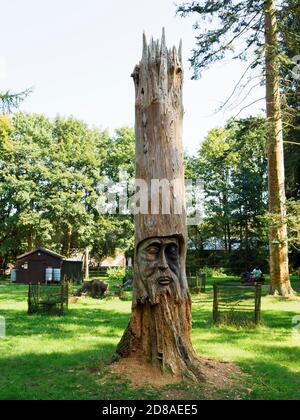 Face carved into a dead tree trunk, Lynford Arboretum, Thetford Forest, Norfolk, UK Stock Photo