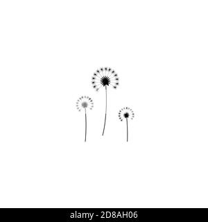 three dandelion flowers with curved sprig. Big bloom with big shabby petals. Isolated on white. Vector illustration. Eco style. Nature symbol. Stock Vector