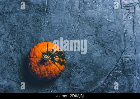 Single Pumpkin on a dark blue stone background. Concept autumn, halloween, harvest. Banner. Flat lay, top view. Stock Photo