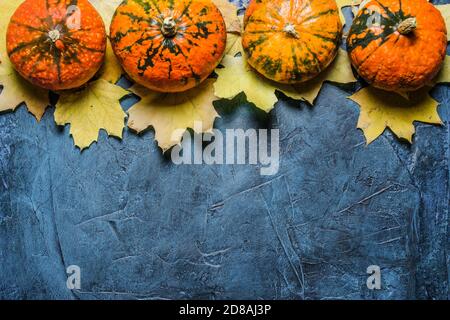 Pumpkins and autumn leaves on a blue dark stone background. Concept autumn, halloween, harvest. Banner. Flat lay, top view. Stock Photo