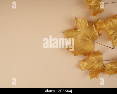 Flat lay creative autumn composition. Golden leaves on beige background top view copy space. Fall concept. Autumn background. Minimal concept idea, fl Stock Photo