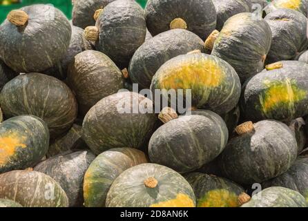 harvest time in october, organic ripe green pumpkins for sale at farmers market Stock Photo