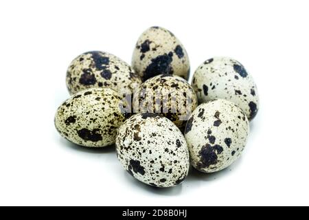 Quail egg isolated on white background Stock Photo