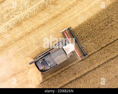 Crop harvesting combine working on agricultural field, top view from flying drone Stock Photo