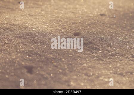 Sparkling snow with warm sunlight for background. Stock Photo