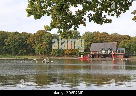 Lakeside Cafe and Bistro, Princes Avenue, Llandrindod Wells, Radnorshire, Powys, Wales, Great Britain, United Kingdom, UK, Europe Stock Photo