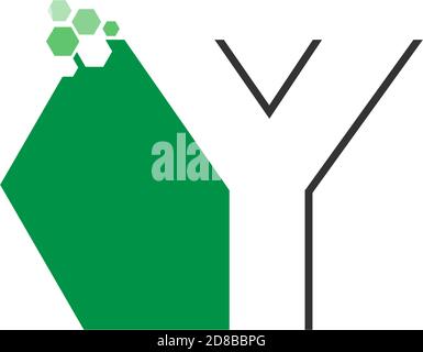 Letter Y on hexagon icon design concept Stock Vector