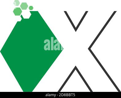 Letter X on hexagon icon design concept Stock Vector