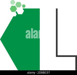 Letter L on hexagon icon design concept Stock Vector