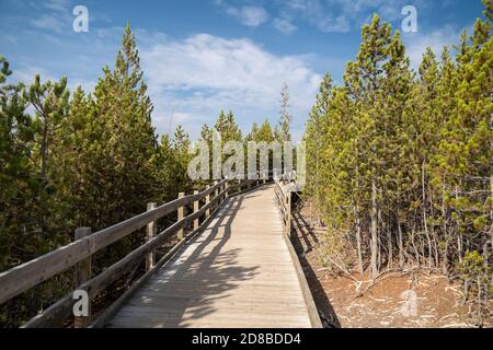 The boardwalk trail leading to Steamboat Geyser, the worlds largest geyser, in Yellowstone National Park Stock Photo