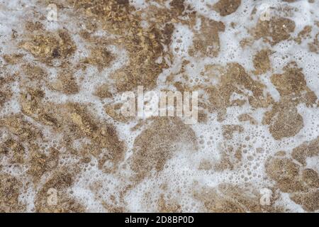 Foamy water surface with bubbles on sand background. Transparent closeup of water texture.  Stock Photo