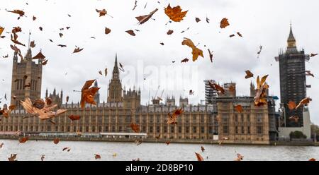 London, UK. 28th Oct, 2020. Photo taken on Oct. 28, 2020 shows fallen leaves blown up by the River Thames backdropped by the Palace of Westminster, in London, Britain. Another 24,701 people in Britain have tested positive for COVID-19, bringing the total number of coronavirus cases in the country to 942,275, according to official figures released Wednesday. The coronavirus-related deaths in Britain rose by 310 to 45,675, the data showed. Credit: Han Yan/Xinhua/Alamy Live News Stock Photo