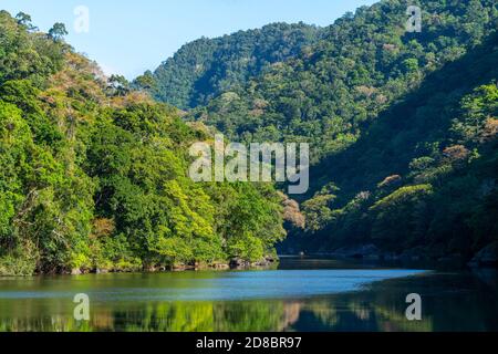 Rainforest slopes lining Barron River below Barron River Falls, Cairns, North Queensland, Australia Stock Photo