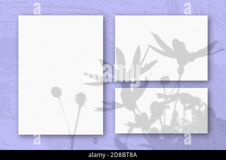 Several horizontal and vertical sheets of white textured paper against a pink wall background. Mockup with an overlay of plant shadows. Natural light Stock Photo