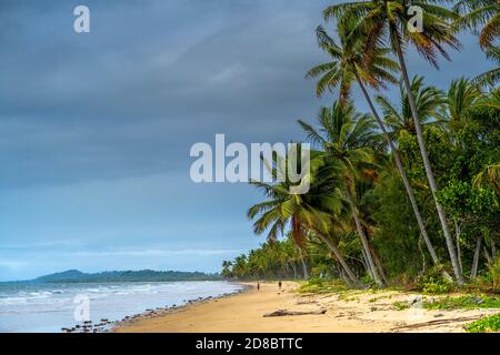 Palm tree lining shoreline at Mission Beach on cloudy day, North Queensland, Australia Stock Photo