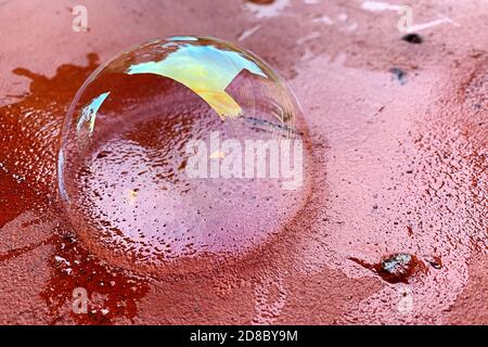 The soap bubble lies on a red brick surface. Transparent soapy surface with rainbow colors and reflections Stock Photo