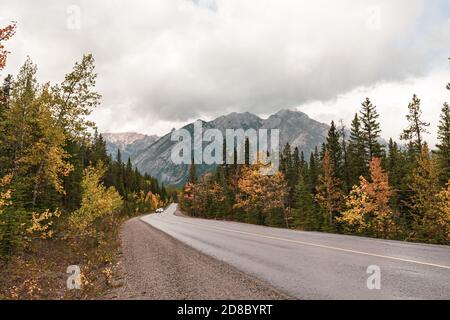 Autumn foliage beside road to sulphur mountain with Mount Norquay background at Banff national park of Alberta, Canada Stock Photo