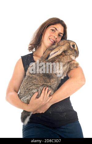 Flemish Giant rabbit and woman in front of white background Stock Photo