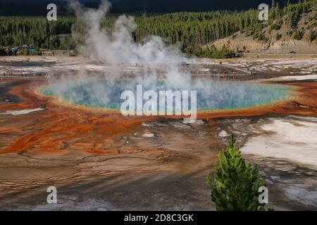 Aerial view of Grand Prismatic Spring in Midway Geyser Basin, Yellowstone National Park, Wyoming, USA. It is the largest hot spring in the United Stat