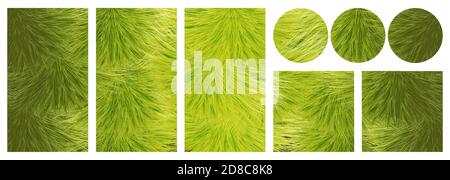 social media templates Christmas new year set. background of green fluffy branches of a Christmas tree, spruce. copy space for text. vertical, square, round format in one style. isolated on white Stock Vector