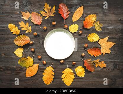 Autumn and Thanksgiving day table setting with fallen leaves and empty white plate on the wooden background Stock Photo