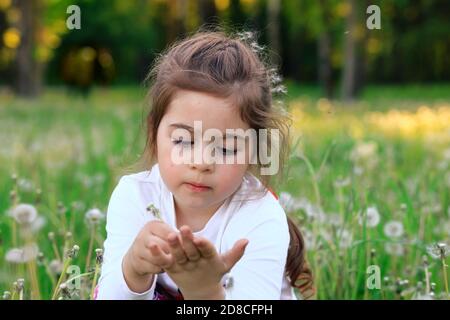 Portrait of seriousl little Girl blowing dandelion flower in summer park. Happy cute child having fun outdoors. Stock Photo