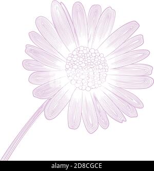 delicate vector linear pattern of daisy flower Stock Vector