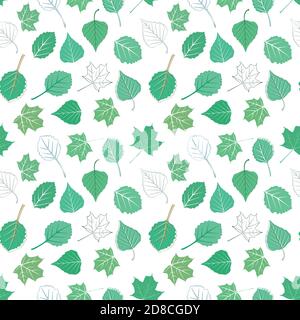 Vector background consisting of different leaves of a tree Stock Vector