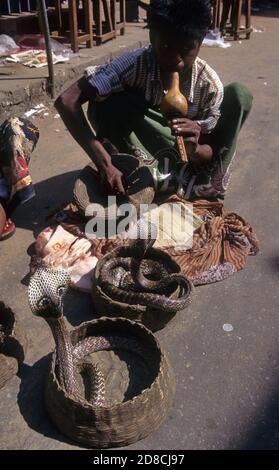Snake charmer with rearing cobras in the Pettah bazaar district, Colombo, Sri Lanka Stock Photo