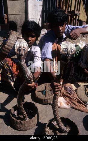 Snake charmers with rearing cobras in the Pettah bazaar district, Colombo, Sri Lanka Stock Photo
