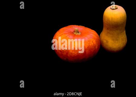 Pumpkin and butternut squash isolated on black absorbing background with copy space. Simplicity. Minimalism. Beautiful autumn background Stock Photo