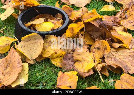 Black dog drink bowl covered in autumn wet fallen leaves. Top view of dog drink plate on autumnal morning dew background, Ballinteer, Dublin, Ireland Stock Photo