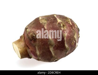 JERUSALEM ARTICHOKE helianthus tuberosus AGAINST WHITE BACKGROUND Stock Photo