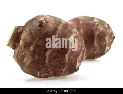 JERUSALEM ARTICHOKE helianthus tuberosus AGAINST WHITE BACKGROUND Stock Photo