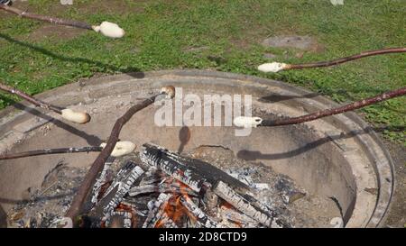children baking bread over a campfire, Germany Stock Photo