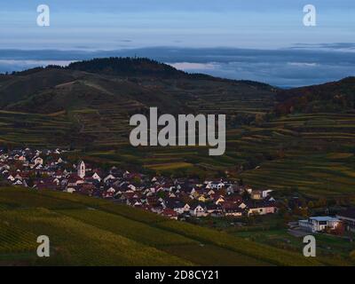 Aerial view of small village Oberbergen located in a valley at Kaiserstuhl, Germany surrounded by terraced vineyards in the evening light in fall. Stock Photo