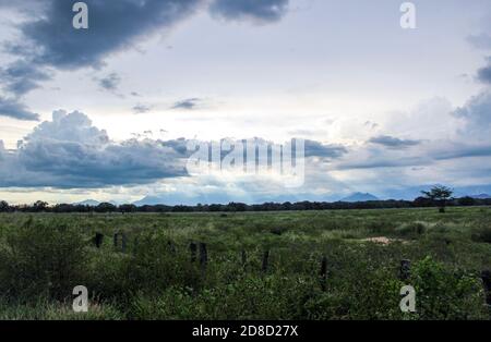 Chasing sunsets in Valledupar right before a storm hits. This is on the southern side of the airport where there are lots of empty fields. Stock Photo