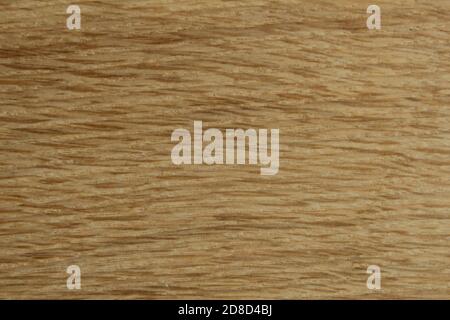 texture background natural wood stripe light wood oak pine Stock Photo