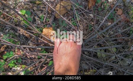 Close up young man hand holding dead branches for making bonfire Stock Photo