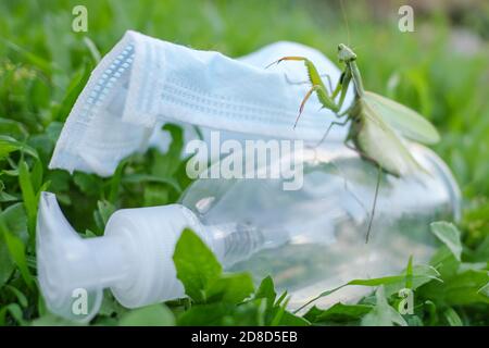Praying mantis living on discarded medical face mask and hand sanitizer dispenser pollution.Contaminated habitat,COVID19 trash Stock Photo