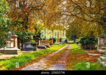Alley with chest tombs at Kensal Green Cemetery in autumn, London, UK