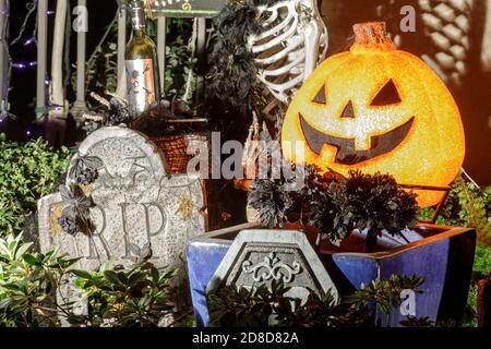 Halloween Decorations and Props Stock Photo