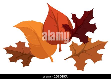 Set with orange and autumnal leaves, isolated over white background. Stock Vector