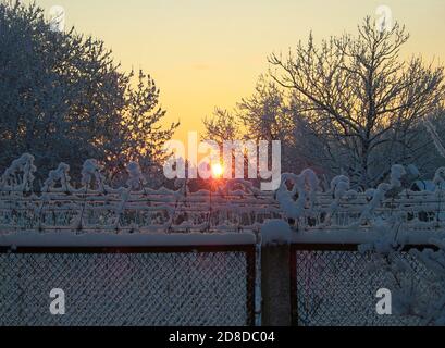 Light of hope from behind barbed wire. Stock Photo