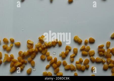 food background bright yellow sugar grain corn at the edges of the top right or from bottom to top on a white light background copy space Stock Photo