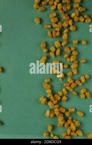 food background bright yellow sugar grain corn at the edges of the top right or from bottom to top on green light background copy space Stock Photo